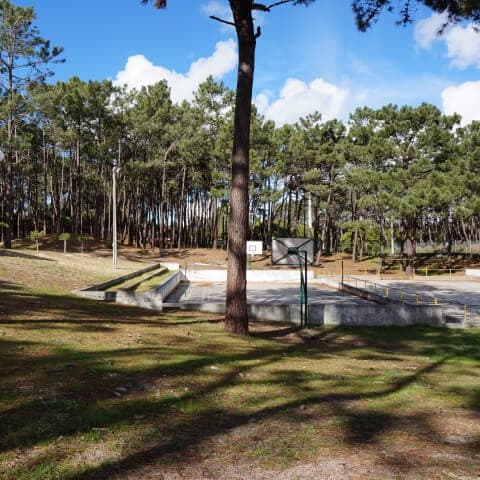 Recinto de jogos na mata do acampamento